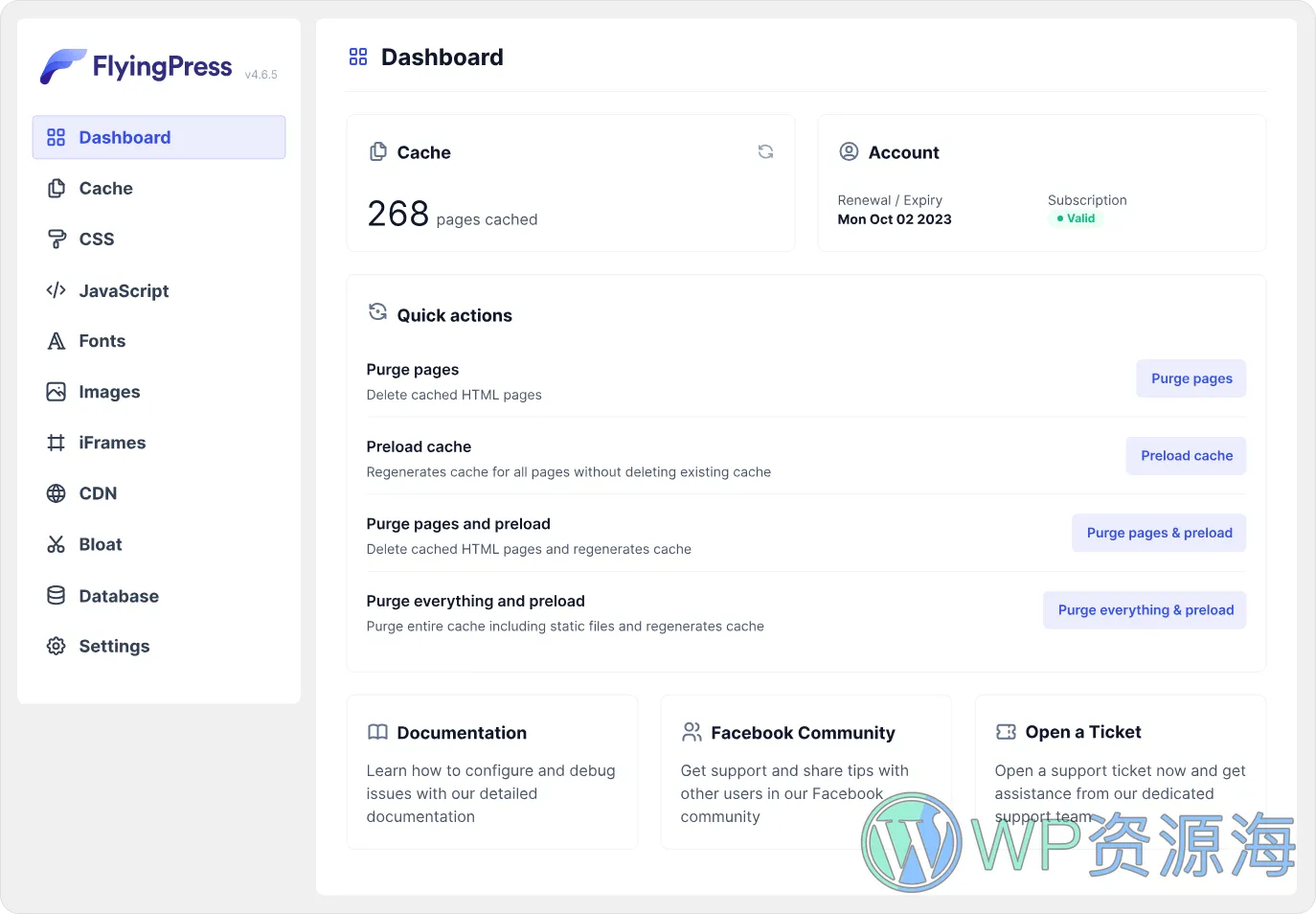 FlyingPress-轻量级网站优化加速WordPress插件插图1-WP资源海