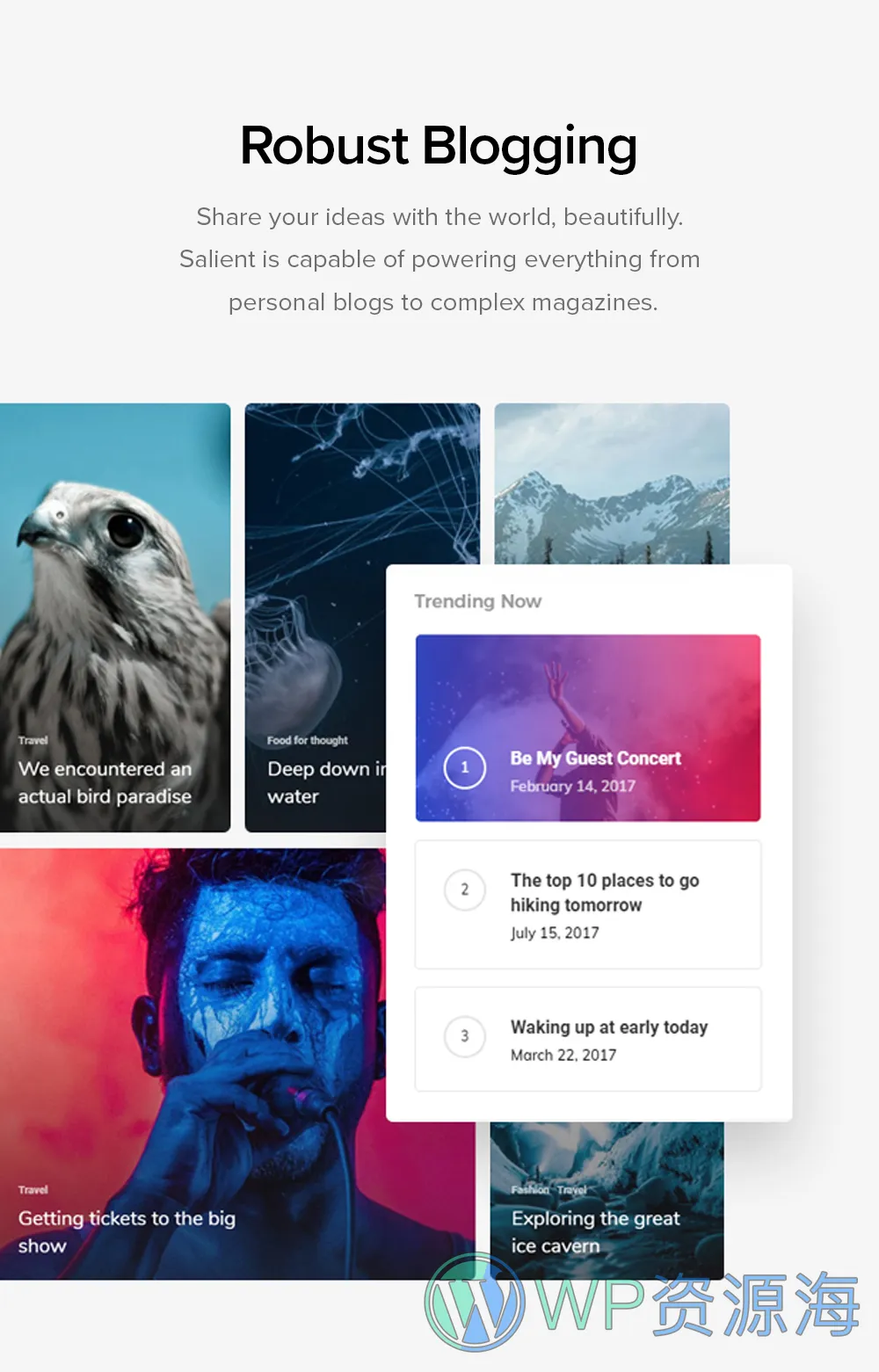 Salient-精品多用途建站模板WordPress畅销主题插图2-WP资源海