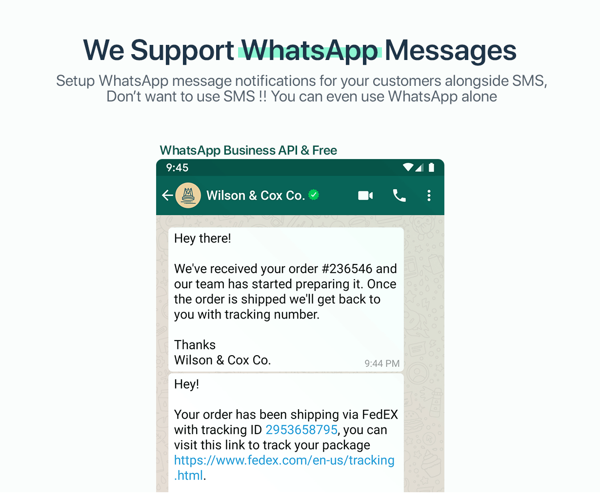 我们支持 WhatsApp 消息