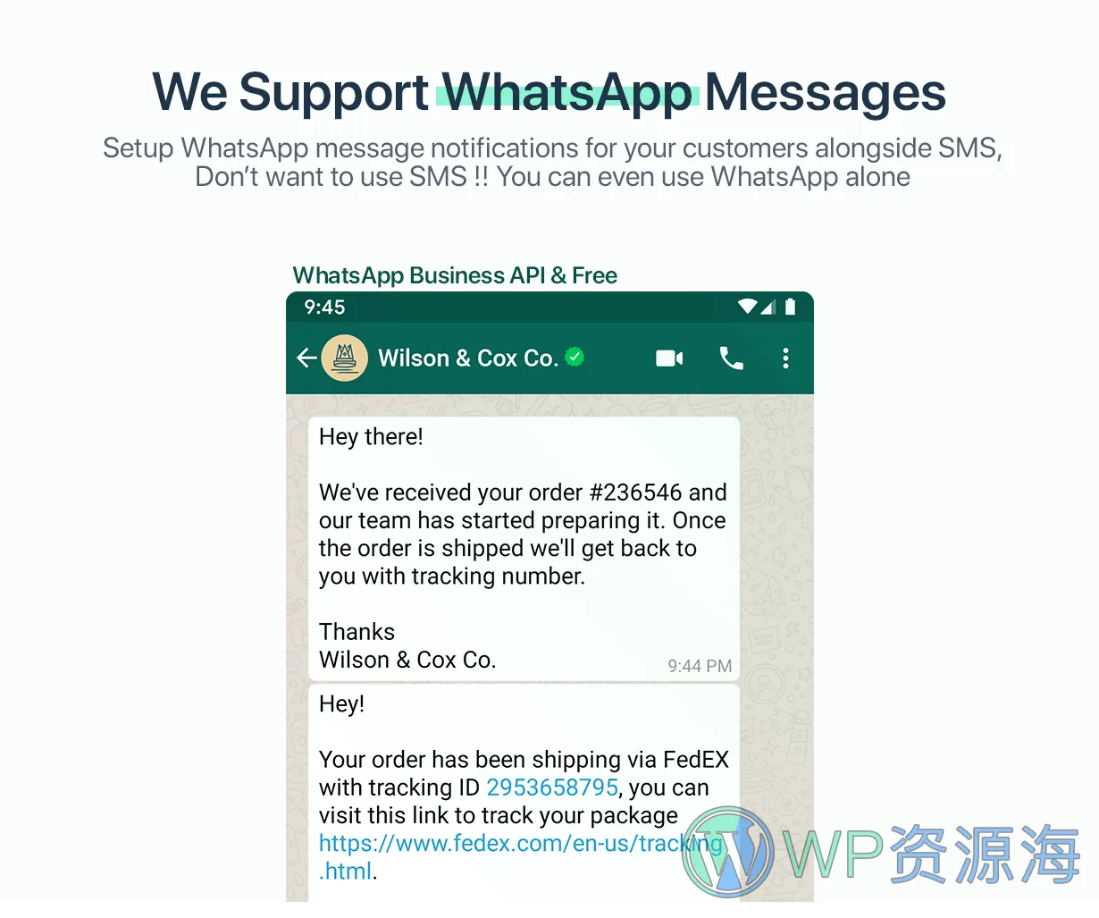 我们支持 WhatsApp 消息