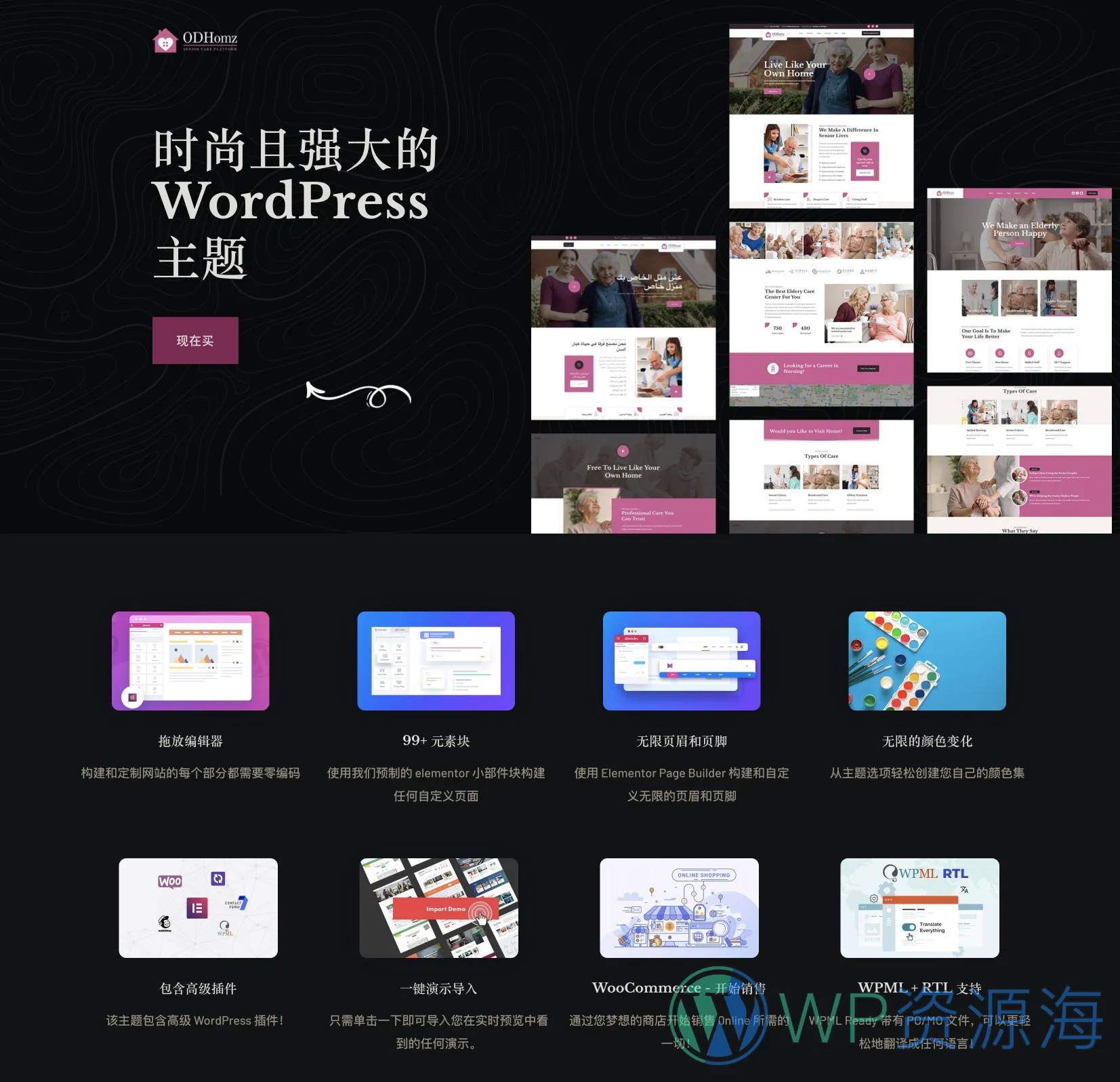 Odhomz v1.4 – 老年人护理疗养保健养生WordPress主题插图1-WP资源海