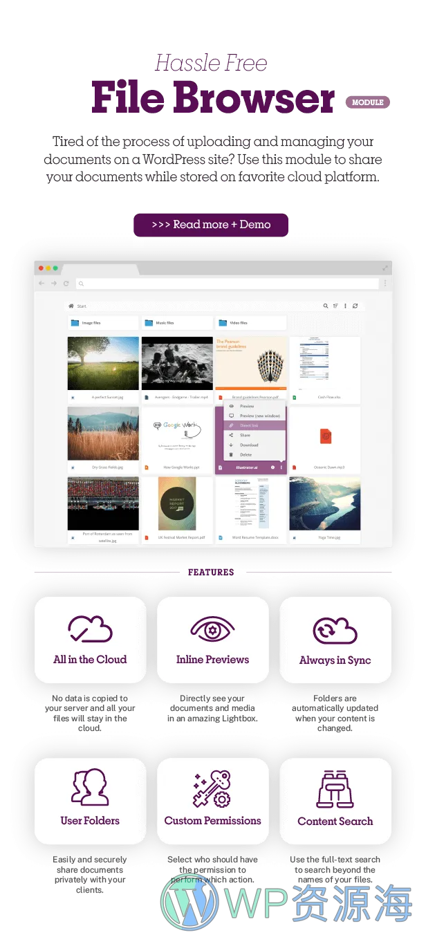 Share-one-Drive | WordPress上的OneDrive插件插图1-WP资源海