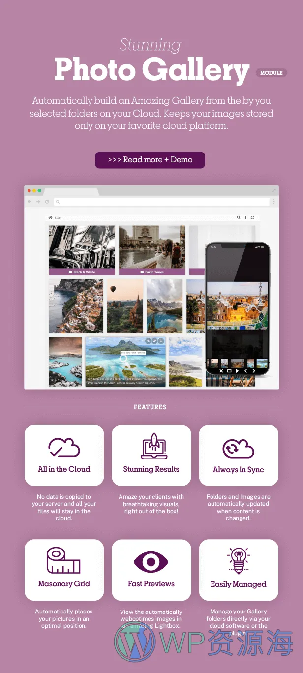 Share-one-Drive | WordPress上的OneDrive插件插图2-WP资源海