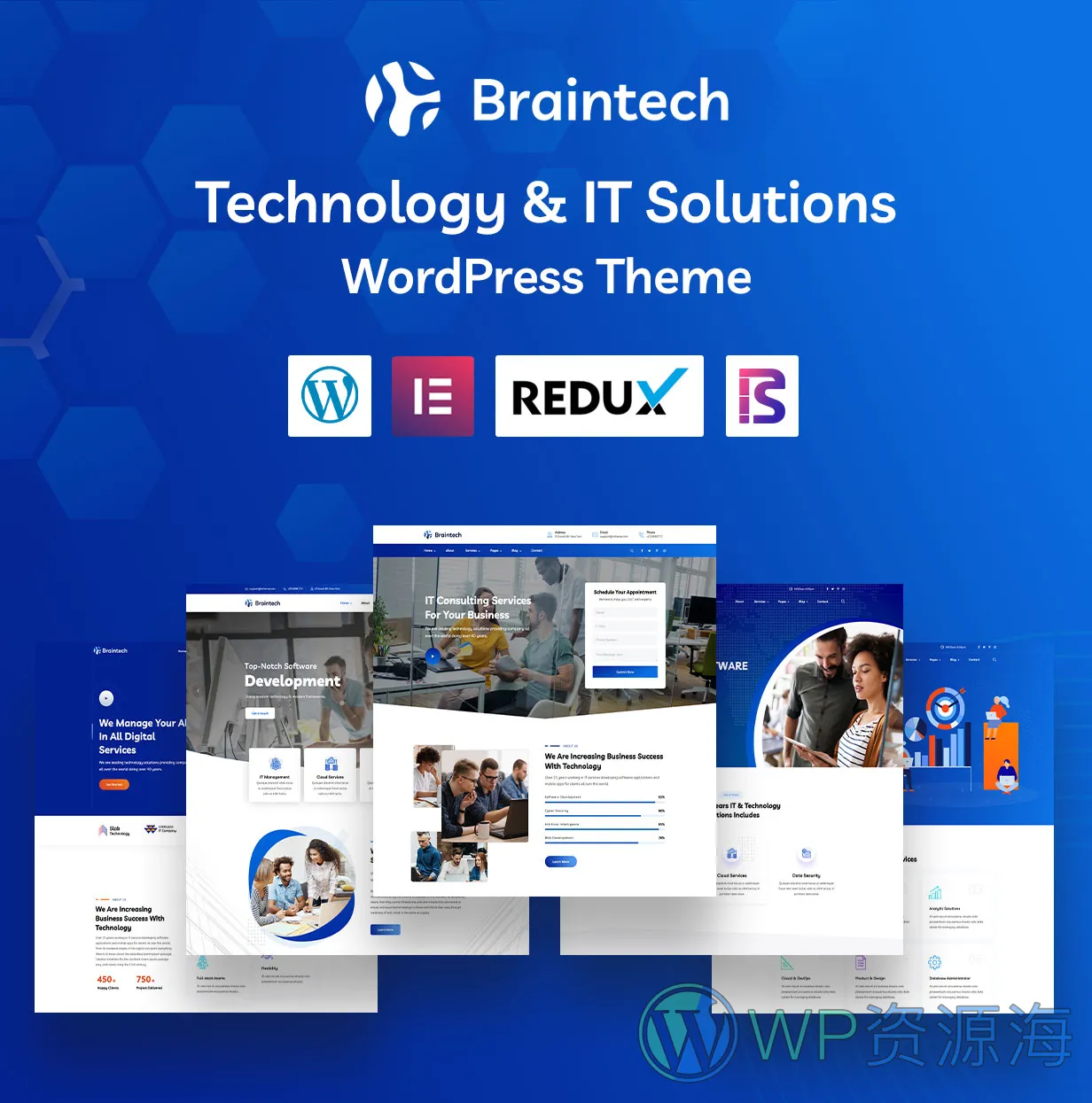 Braintech-科技IT创业公司企业WordPress主题[更至v2.6]插图1-WordPress资源海