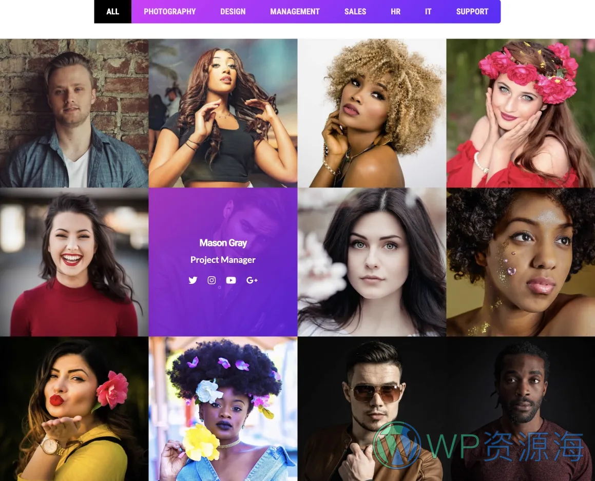 Team Grid-很漂亮的团队成员展示WordPress插件[更至v1.3.2]插图-WordPress资源海