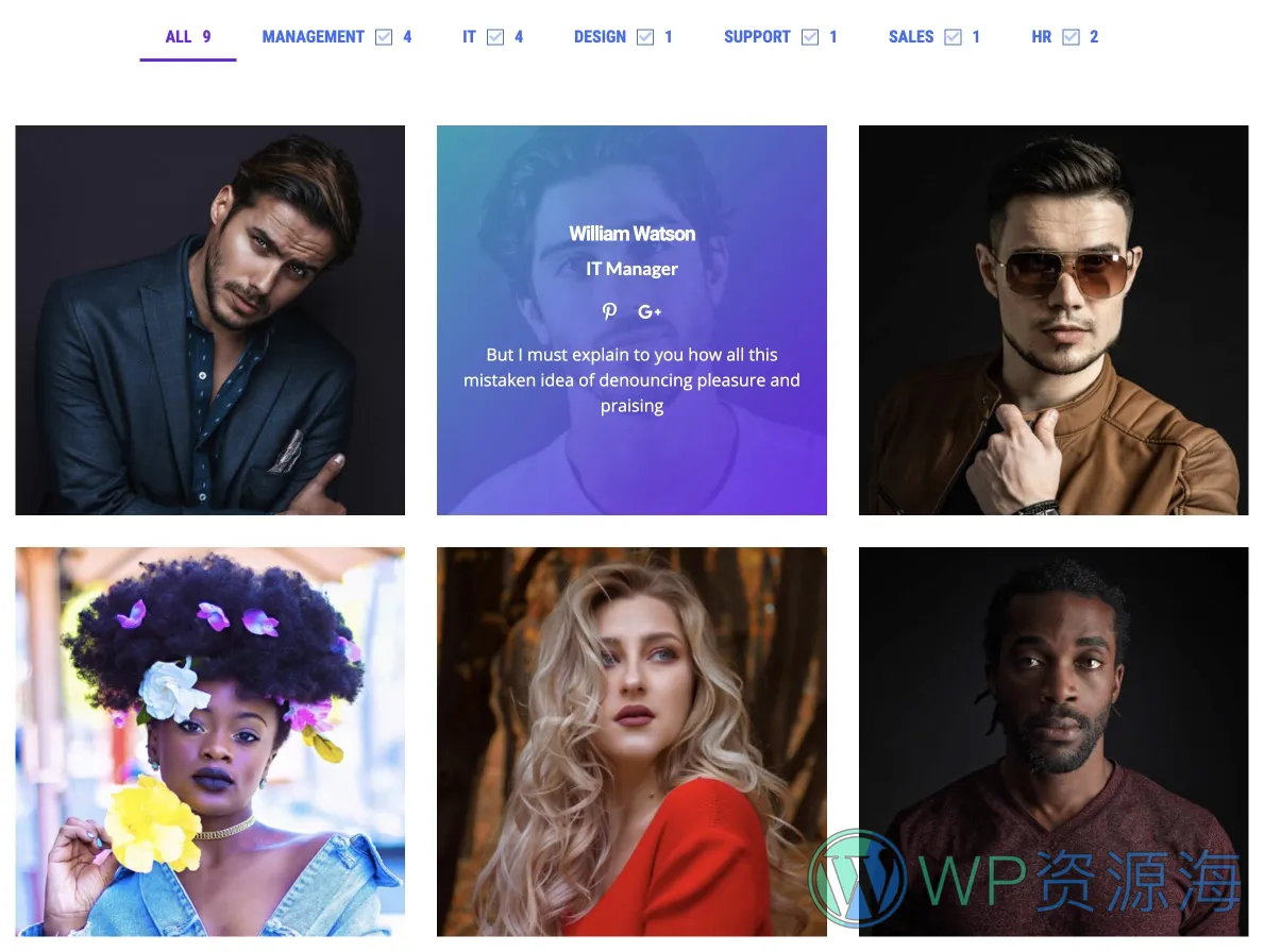 Team Grid-很漂亮的团队成员展示WordPress插件[更至v1.3.2]插图1-WordPress资源海