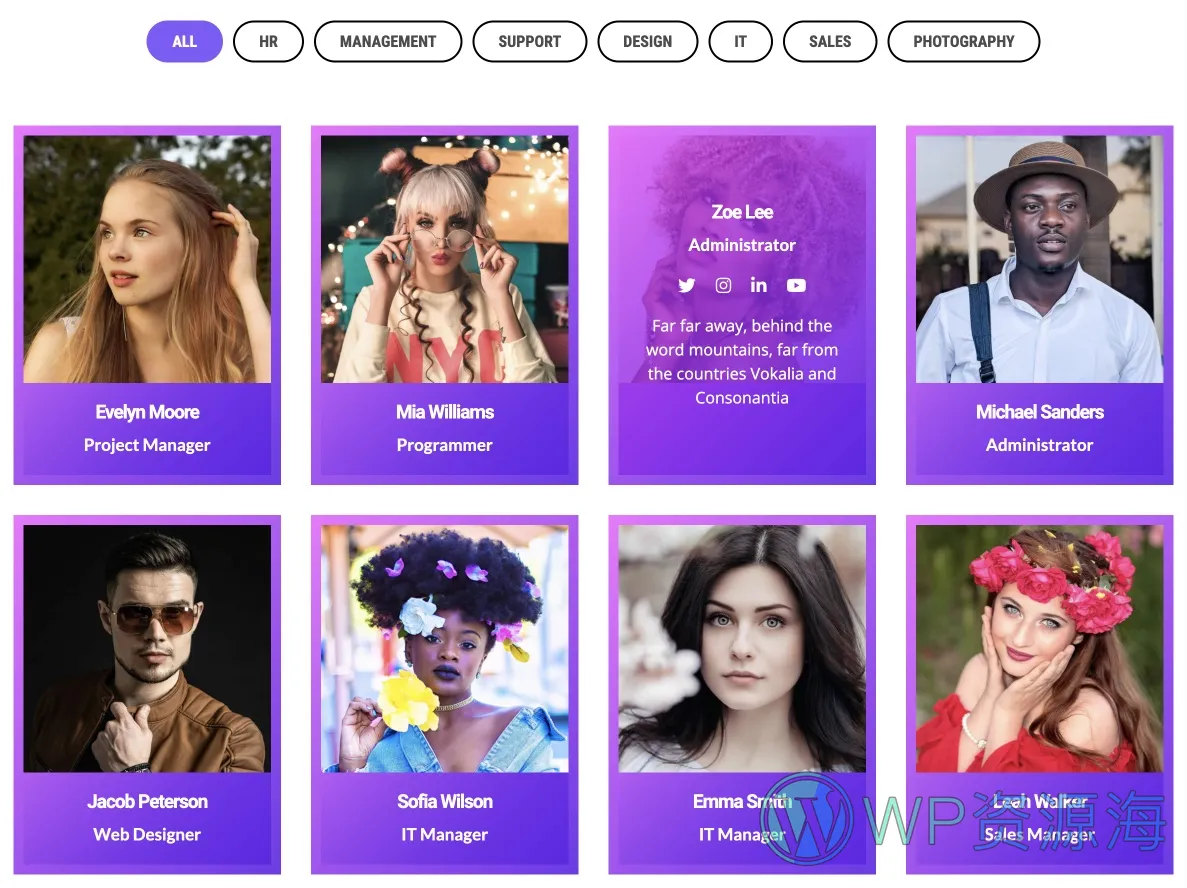 Team Grid-很漂亮的团队成员展示WordPress插件[更至v1.3.2]插图2-WordPress资源海