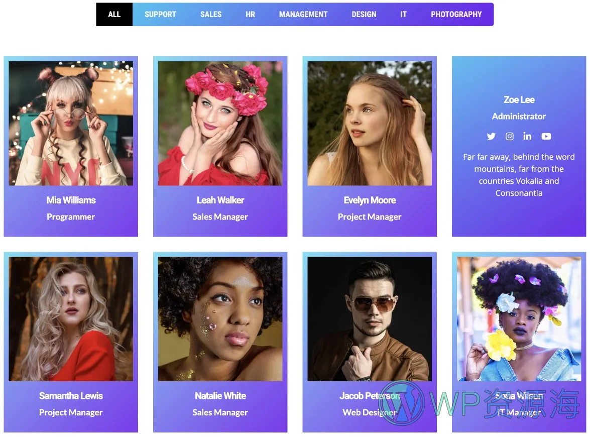 Team Grid-很漂亮的团队成员展示WordPress插件[更至v1.3.2]插图3-WordPress资源海