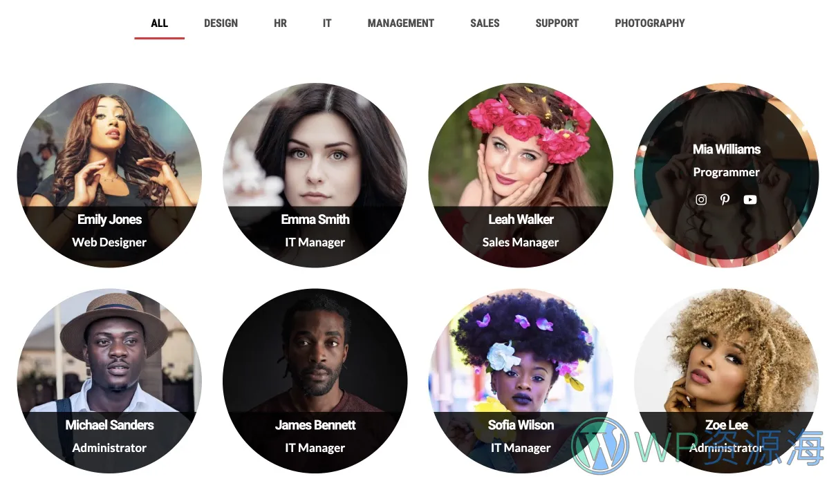 Team Grid-很漂亮的团队成员展示WordPress插件[更至v1.3.2]插图4-WordPress资源海