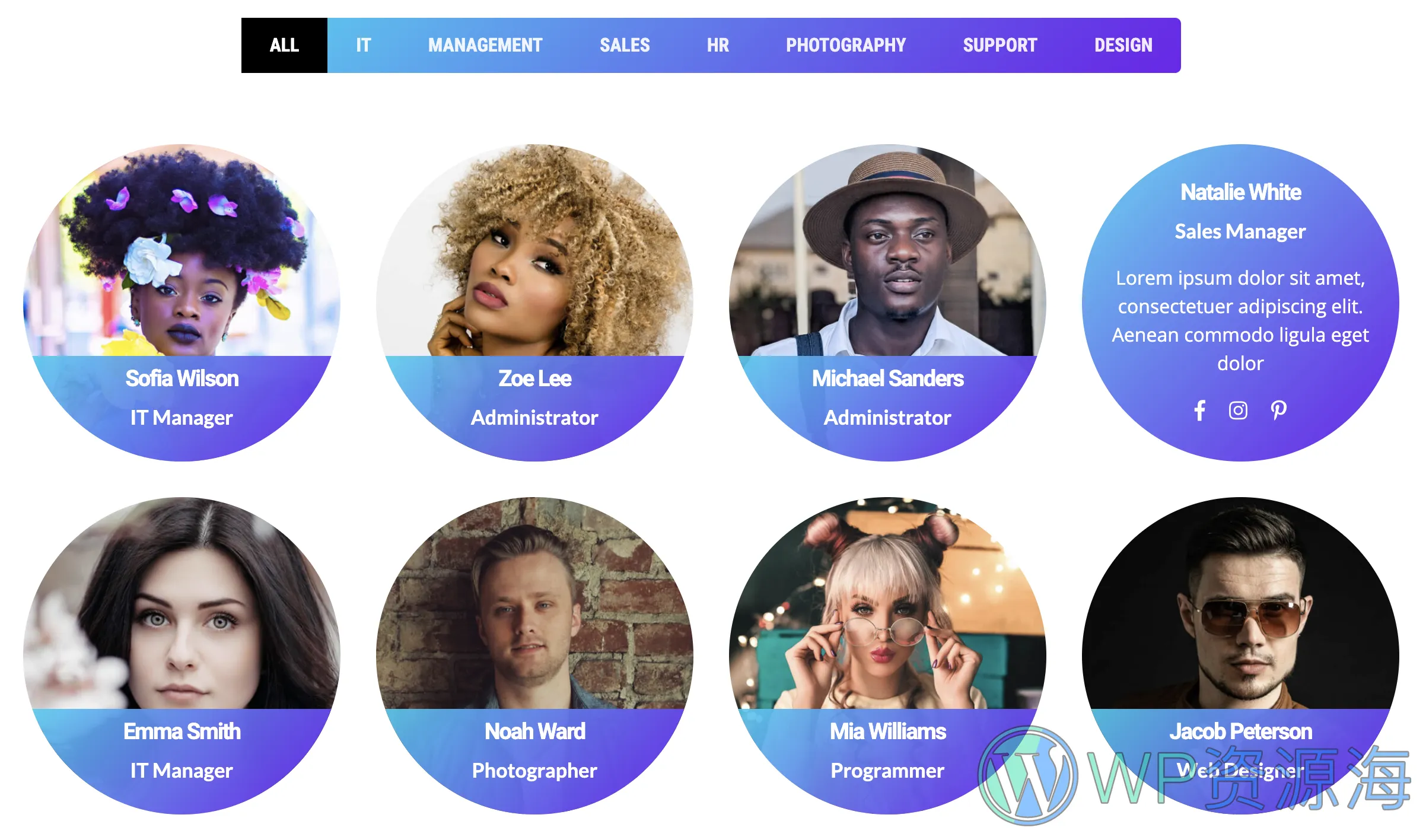 Team Grid-很漂亮的团队成员展示WordPress插件[更至v1.3.2]插图5-WordPress资源海