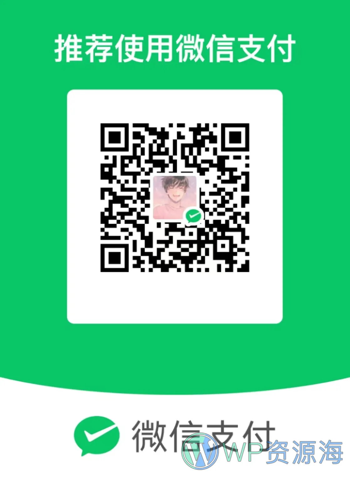 备用付款方式支持:微信支付/PayPal转账/USDT/QQ钱包/信用卡插图-WP资源海
