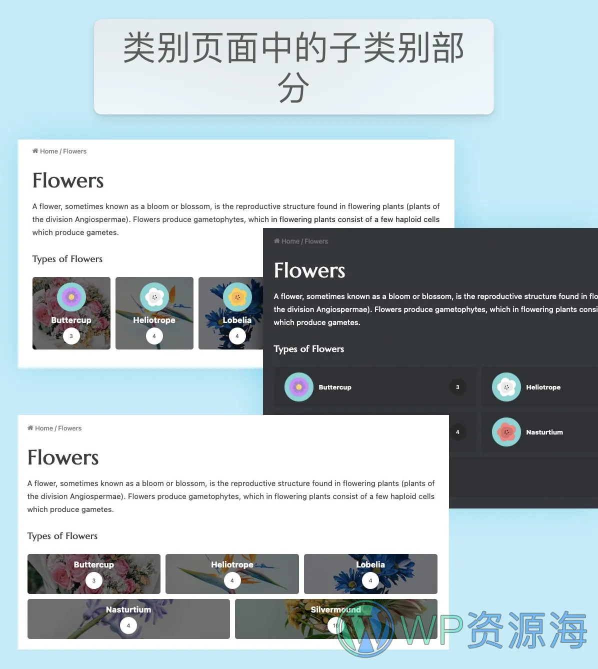 Jannah 主题 v7.0 版本重大更新插图1-WP资源海