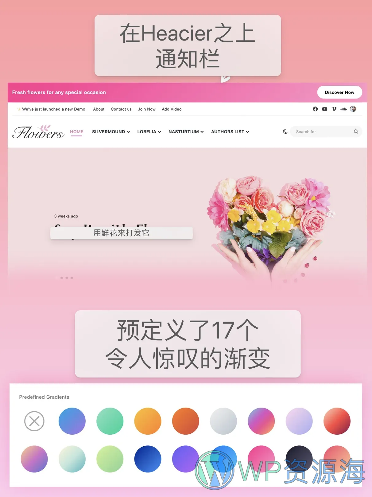 Jannah 主题 v7.0 版本重大更新插图4-WP资源海