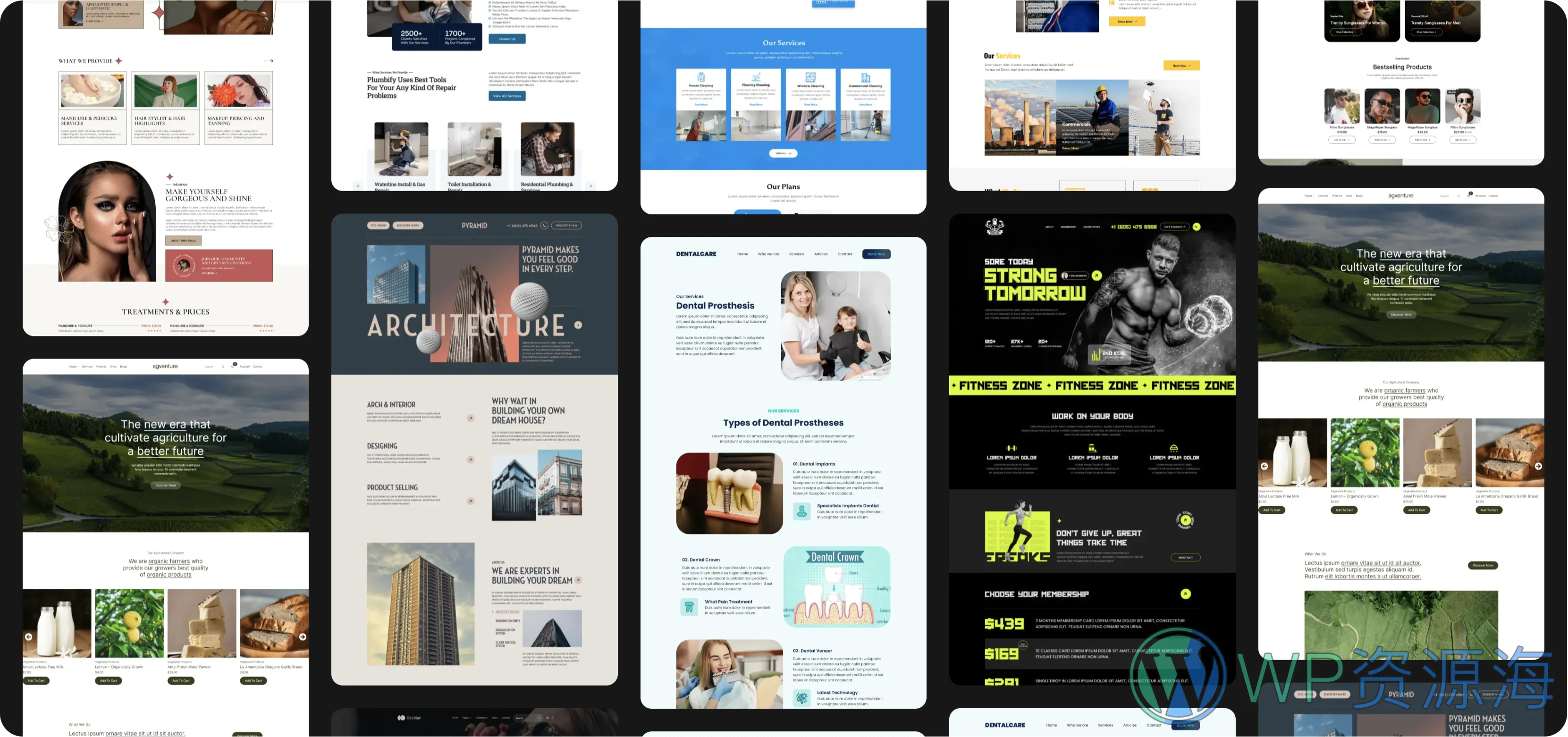 Breakdance Pro-可视化模块化建站工具WordPress插件插图2-WP资源海