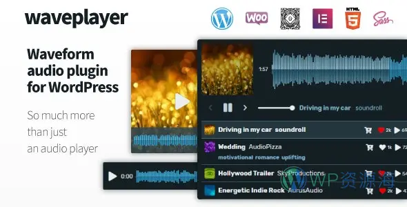 WavePlayer v3.6.4 在线音频音乐播放器插件插图-WordPress资源海