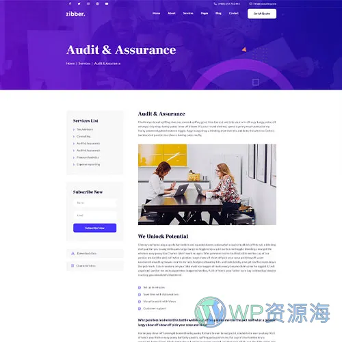 Zibber v1.2.2 金融投资理财业务咨询/财务管理网站模板插图6-WP资源海
