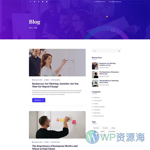 Zibber v1.2.2 金融投资理财业务咨询/财务管理网站模板插图7-WP资源海