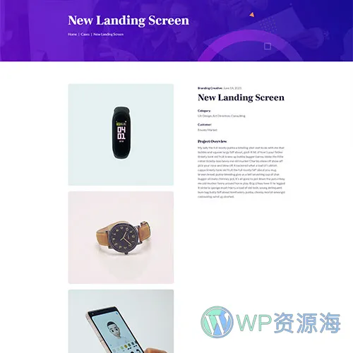 Zibber v1.2.2 金融投资理财业务咨询/财务管理网站模板插图13-WP资源海