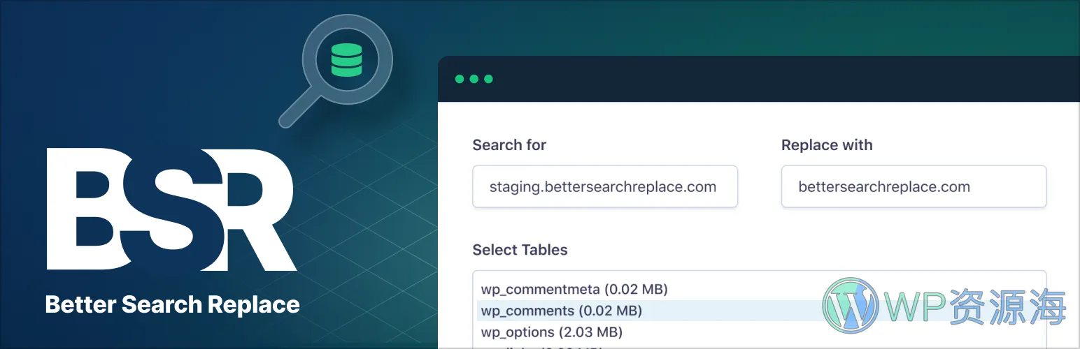 Better Search Replace Pro-超好用的WordPress数据库搜索替换插件插图-WP资源海