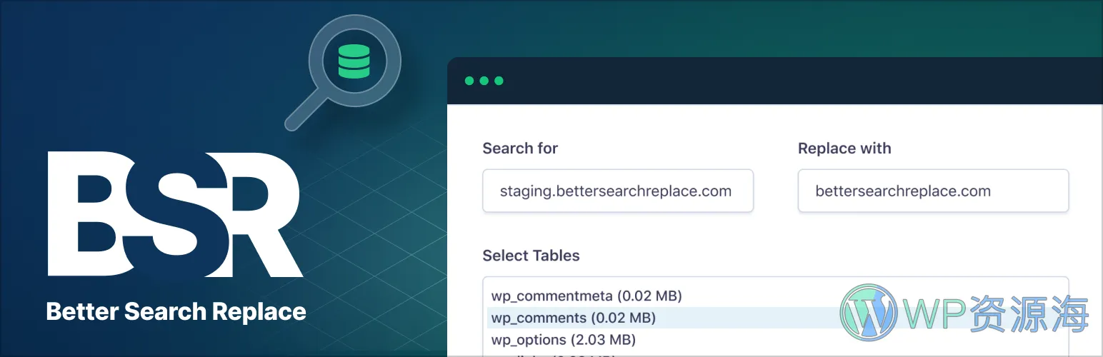 Better Search Replace Pro-超好用的WordPress数据库搜索替换插件[更至v1.4.7]插图-WordPress资源海