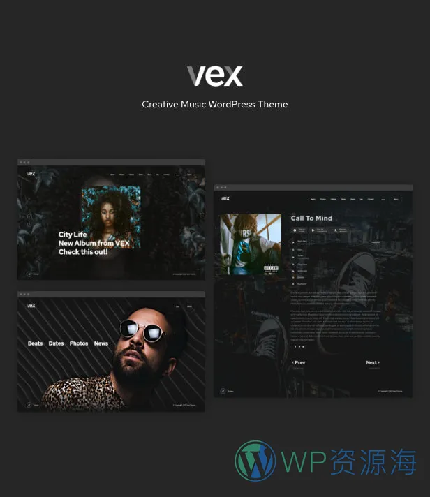 Vex v1.2.6 创意音乐网站WordPress主题插图1-WP资源海