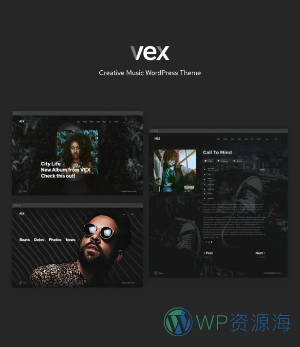 Vex v1.2.6 创意音乐网站WordPress主题插图1-WordPress资源海