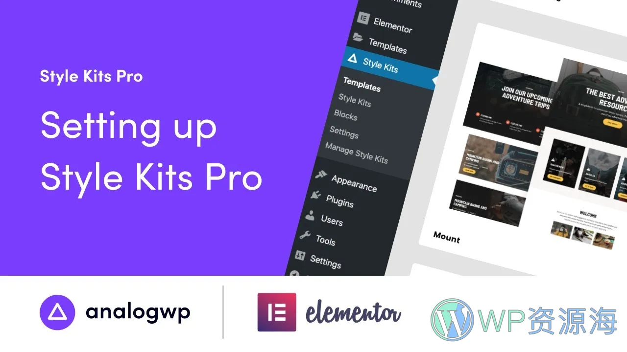 Style Kits Pro v2.0.5 Elementor全局样式预设/全站样式设计插件插图-WP资源海