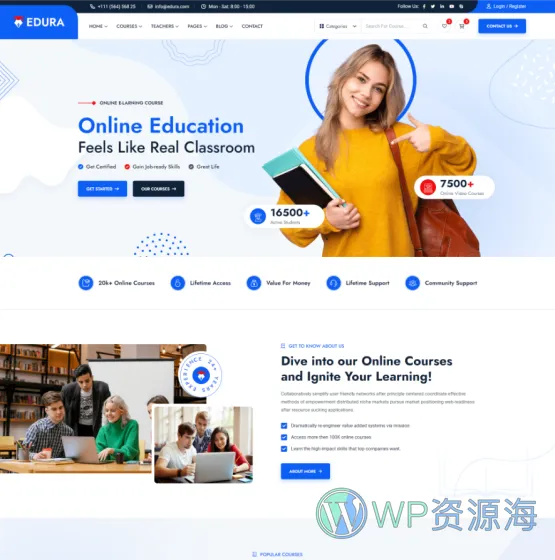 Edura v2.0.0 在线教育培训网络课程WordPress主题插图5-WP资源海