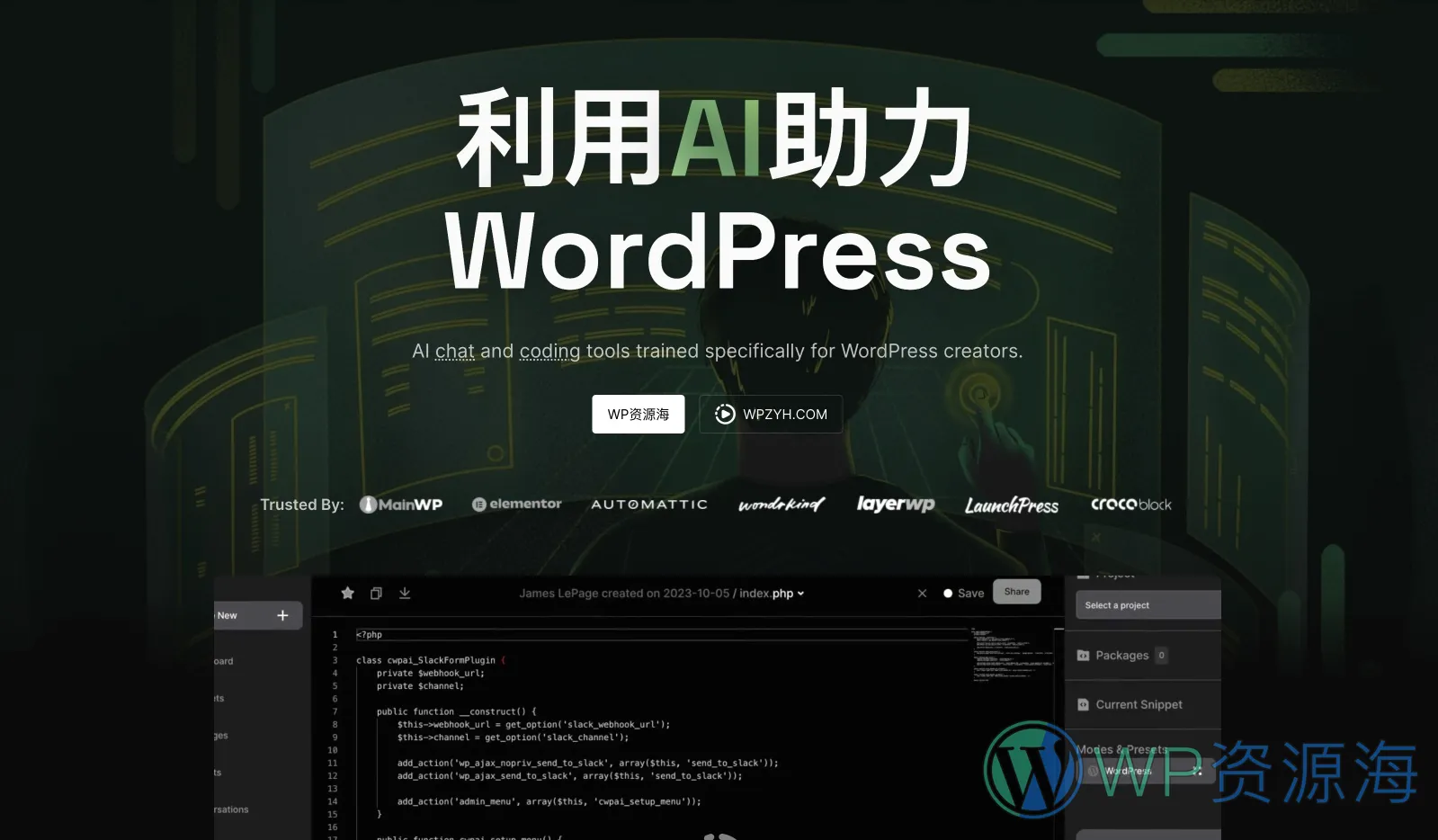 CodeWP – WordPress AI 开发&编程助手来了插图-WP资源海