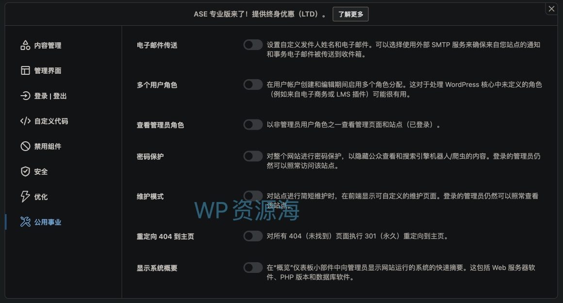 ASE Pro-网站优化小工具与常用功能聚合WordPress插件图片8