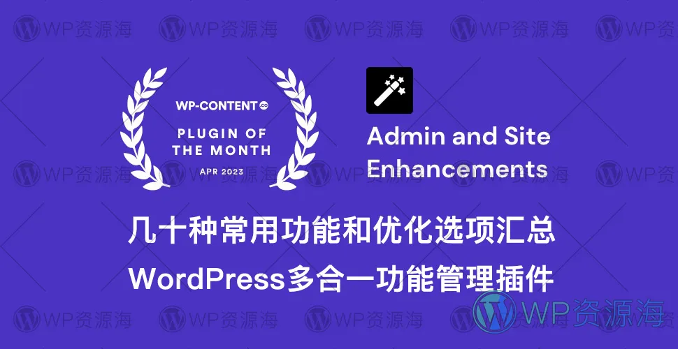 ASE Pro-网站优化小工具与常用功能聚合WordPress插件插图-WP资源海
