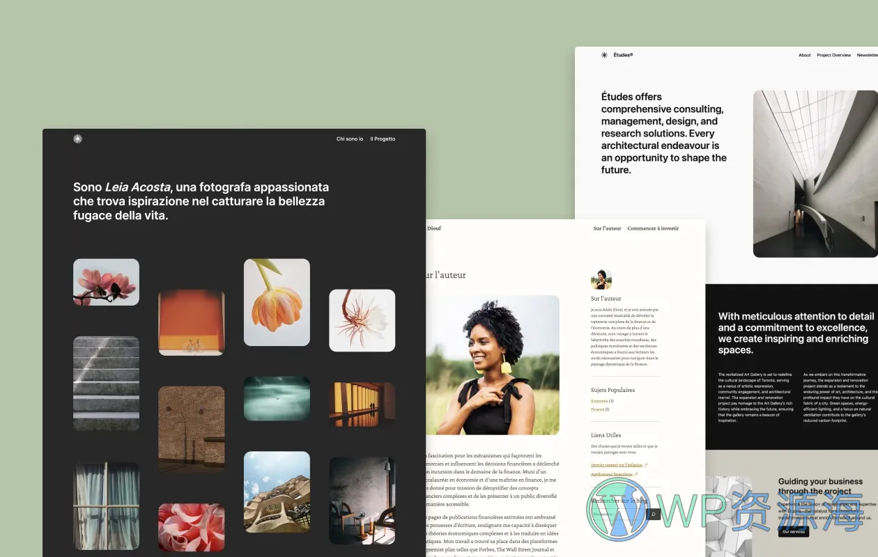 WordPress v6.4.0 正式版已发布 更新内容速览插图2-WP资源海