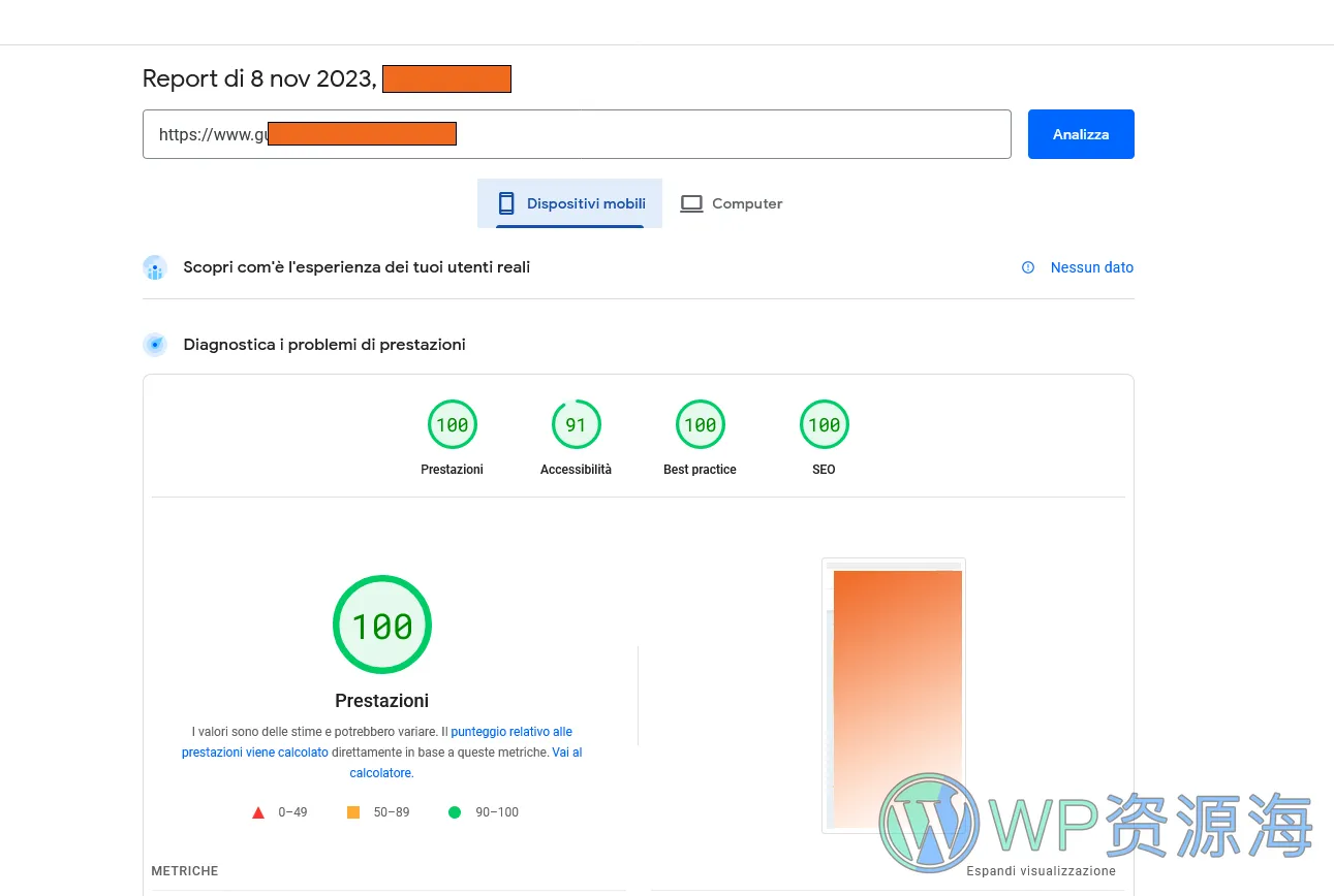 Divi主题优化教程之100%性能释放插图-WP资源海
