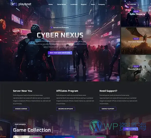 Playhost-游戏服务器主机托管HTML网站模板[更至v1.1.6]插图3-WP资源海