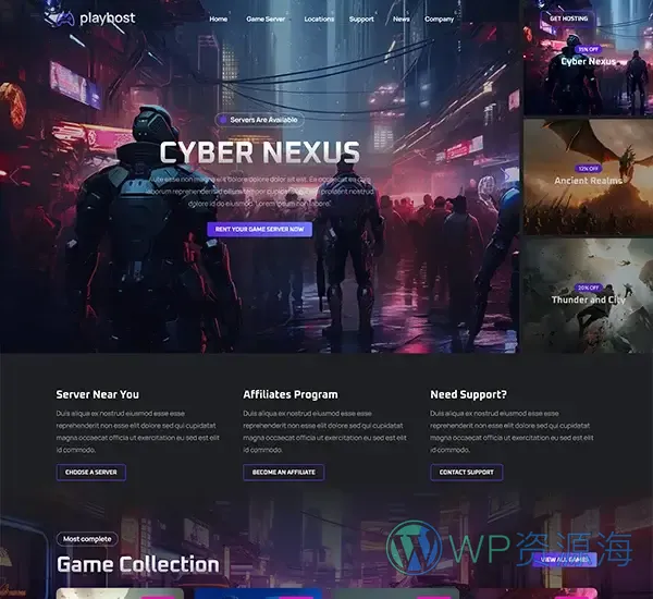 Playhost v1.0.8 游戏服务器主机托管网站模板插图3-WordPress资源海