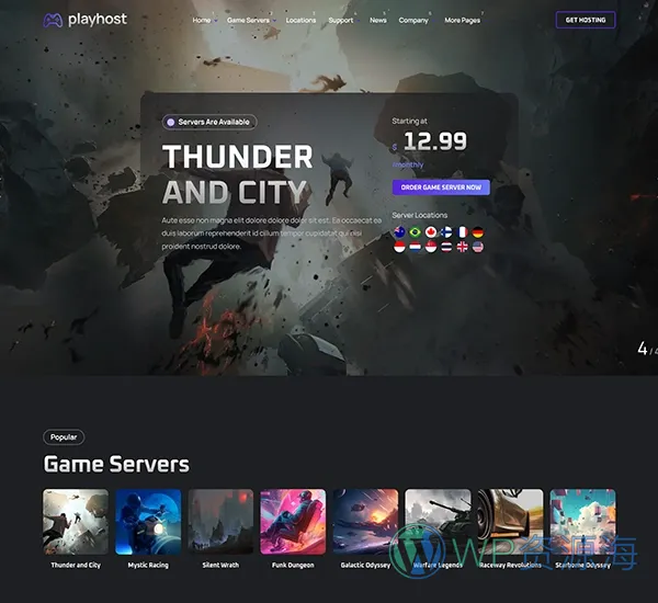 Playhost v1.0.8 游戏服务器主机托管网站模板插图7-WordPress资源海