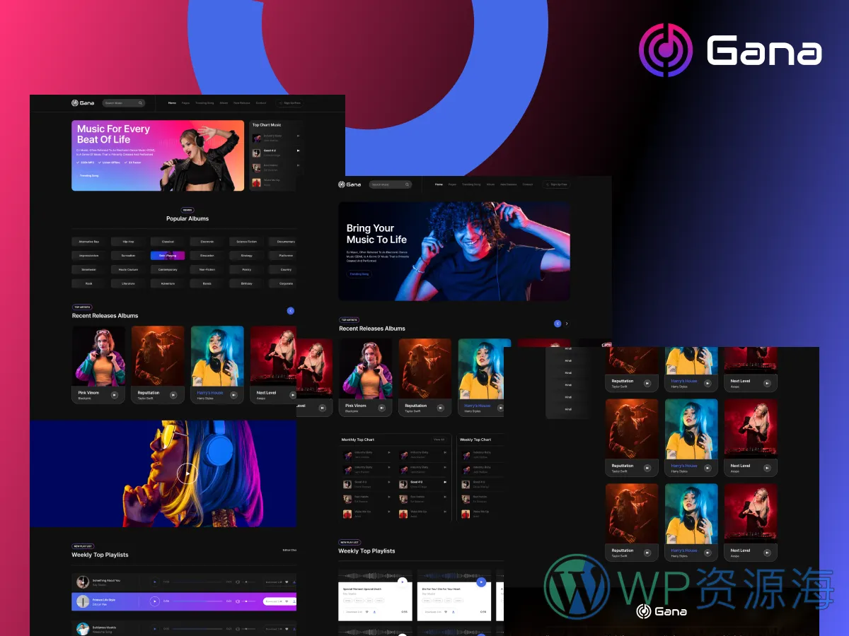Gana v1.0.3 音乐节/演唱会WordPress高品质主题插图-WP资源海