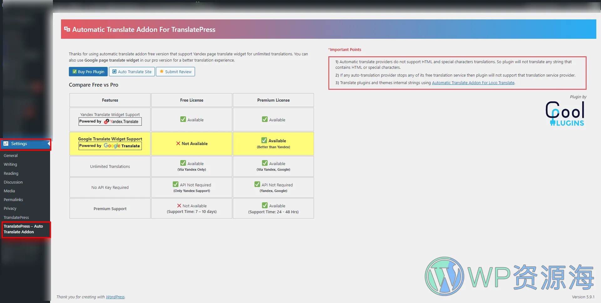 Automatic Translate Addon For TranslatePress Pro自动化翻译扩展插件插图5-WP资源海