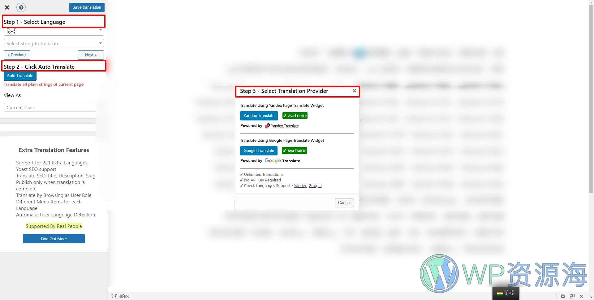 Automatic Translate Addon For TranslatePress Pro自动化翻译扩展插件插图2-WP资源海