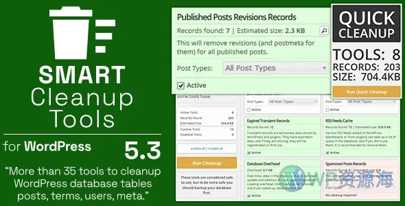 Smart Cleanup Tools v5.3 数据库清理优化重置WordPress插件插图-WP资源海