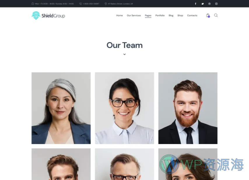 ShieldGroup v2.7 保险金融公司网站模板WordPress主题插图10-WP资源海