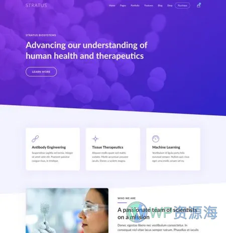 Stratus v4.2.5 软件APP网站模板WordPress主题插图13-WP资源海