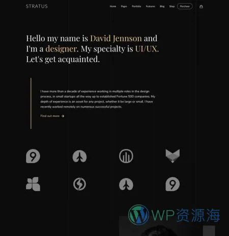 Stratus v4.2.5 软件APP网站模板WordPress主题插图11-WP资源海