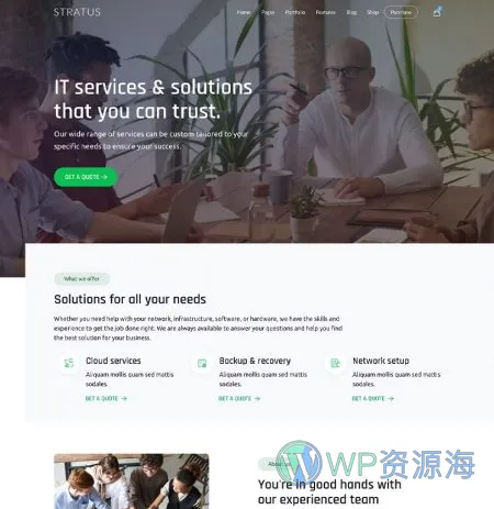 Stratus v4.2.5 软件APP网站模板WordPress主题插图21-WP资源海