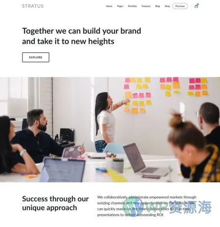 Stratus v4.2.5 软件APP网站模板WordPress主题插图25-WP资源海