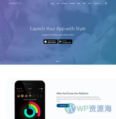 Stratus v4.2.5 软件APP网站模板WordPress主题插图33-WP资源海