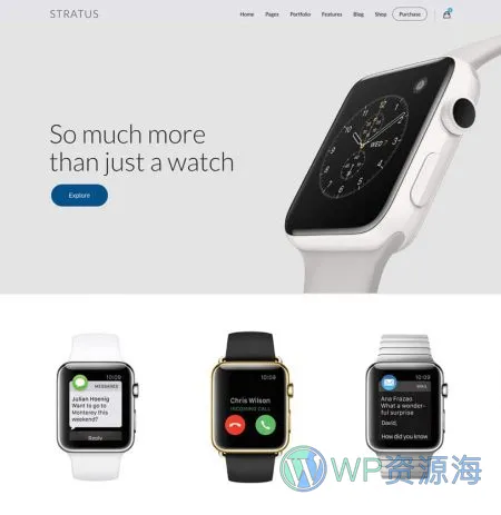 Stratus v4.2.5 软件APP网站模板WordPress主题插图31-WP资源海