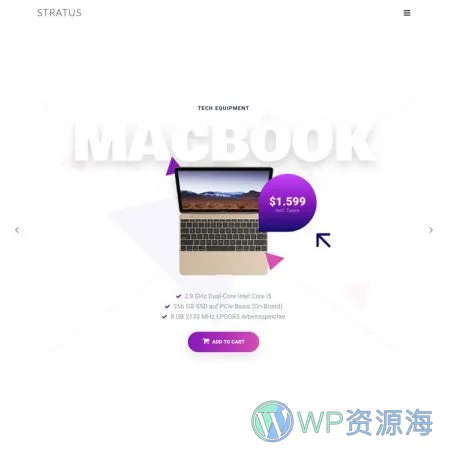 Stratus v4.2.5 软件APP网站模板WordPress主题插图38-WP资源海