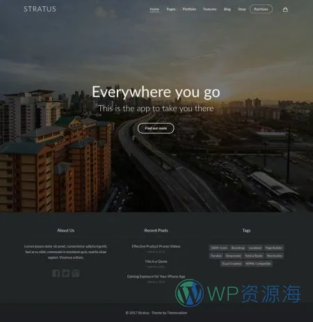 Stratus v4.2.5 软件APP网站模板WordPress主题插图30-WP资源海