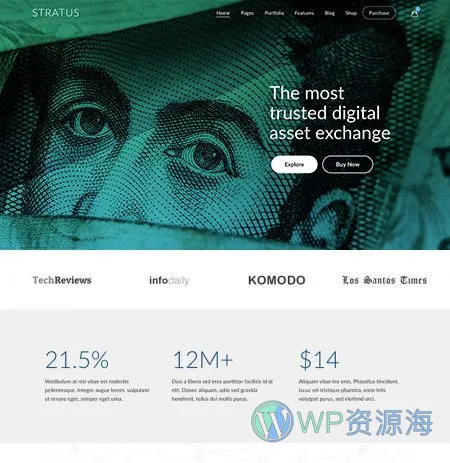Stratus v4.2.5 软件APP网站模板WordPress主题插图39-WP资源海